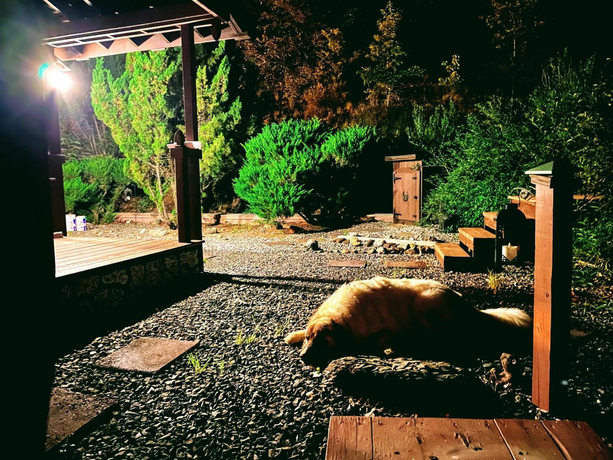 Вилла Tiny House, Wifi,Hot Tub,Secluded Cosby Экстерьер фото