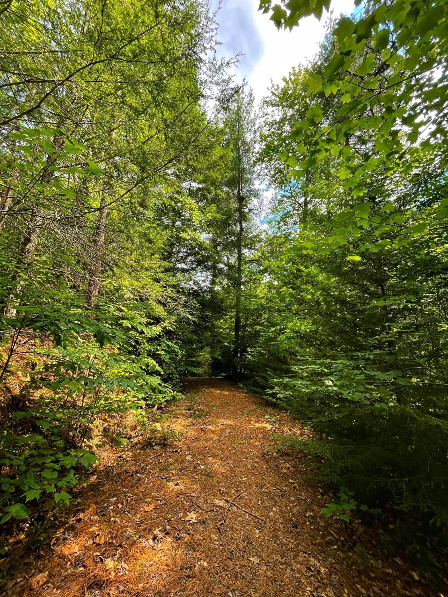 Вилла Tiny House, Wifi,Hot Tub,Secluded Cosby Экстерьер фото