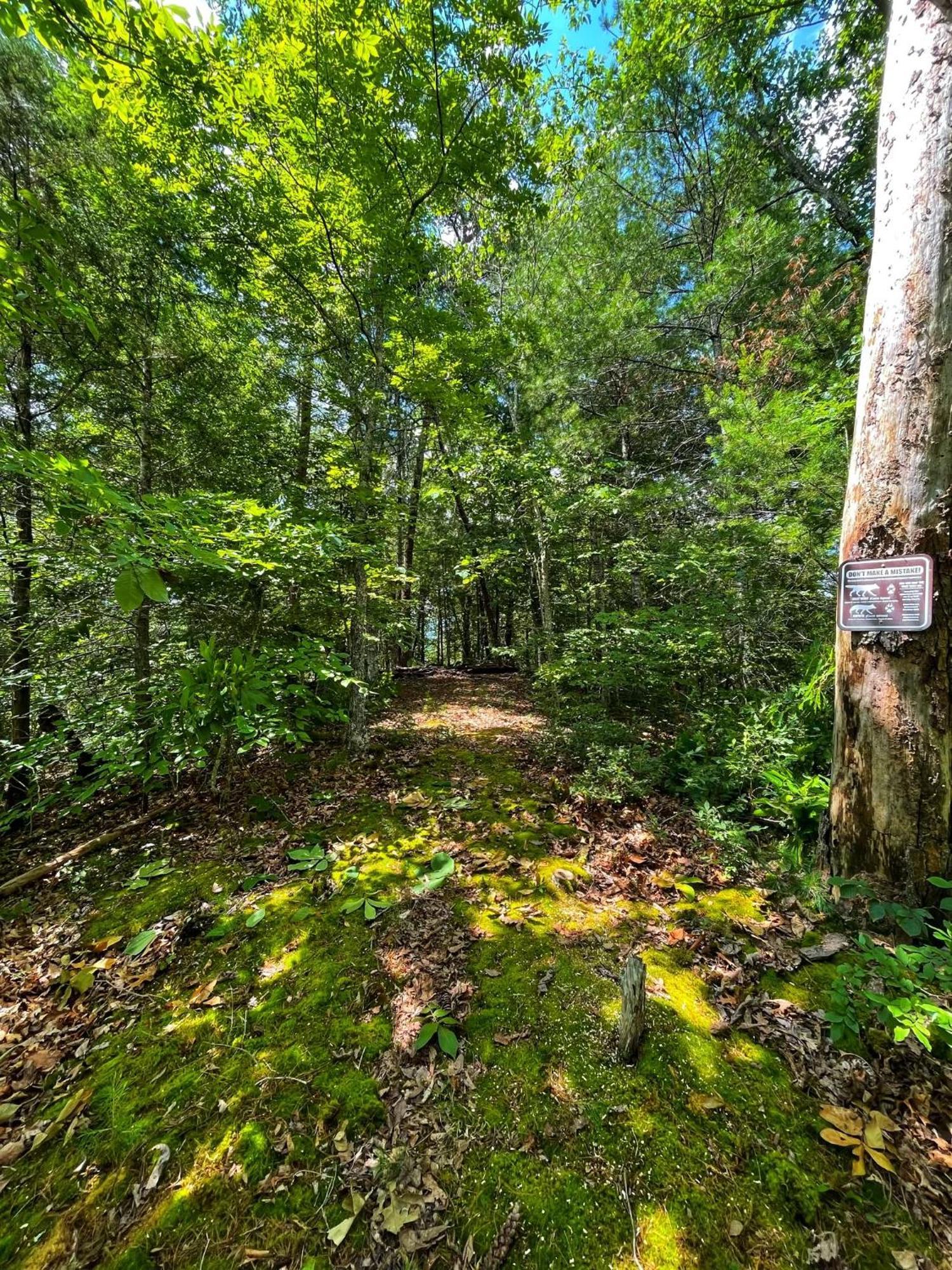 Вилла Tiny House, Wifi,Hot Tub,Secluded Cosby Экстерьер фото